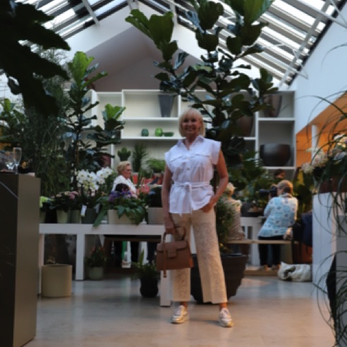 IMG_3006 IMG_3006